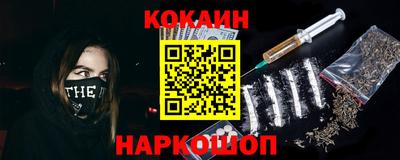 a pvp Новозыбков
