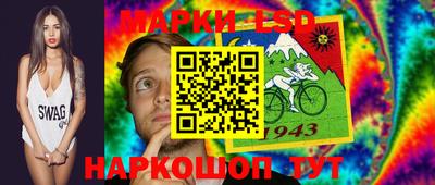 a pvp Новозыбков