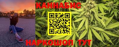 a pvp Новозыбков