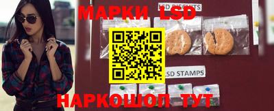 a pvp Новозыбков