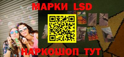 a pvp Новозыбков