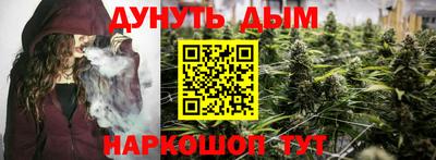 мдпв Новодвинск