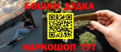 a pvp Новозыбков