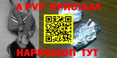 a pvp Новозыбков