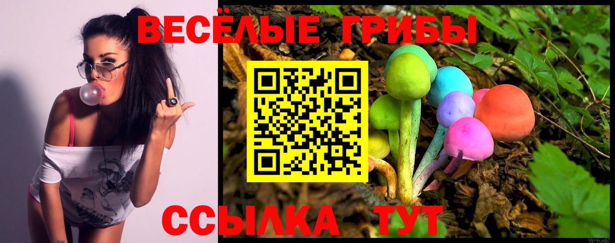 Галлюциногенные грибы GOLDEN TEACHER Бердск