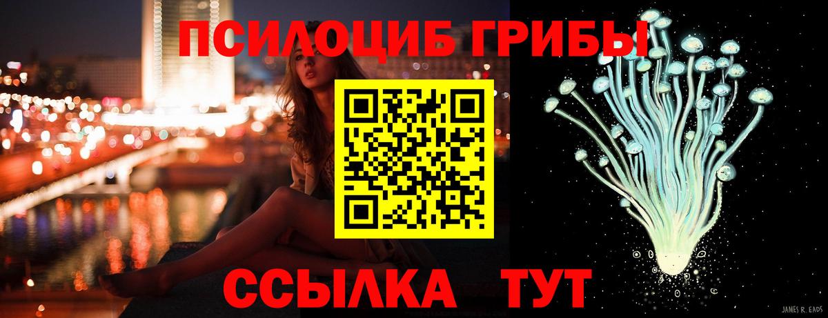 Бердск  даркнет сайт  Галлюциногенные грибы Magic Shrooms  Вход с VPN  Псилоцибиновые грибы Cubensis 
