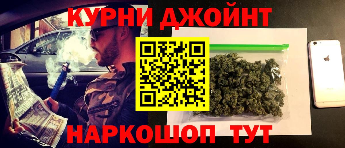 Канабис сатива  Конопля OG Kush  Вход с VPN  Бердск 